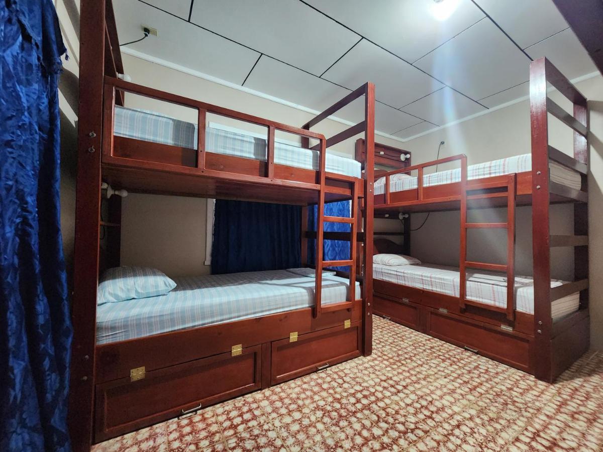 אוטילה Fenix Hotel & Hostel מראה חיצוני תמונה