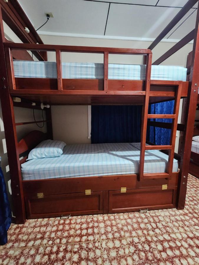 אוטילה Fenix Hotel & Hostel מראה חיצוני תמונה